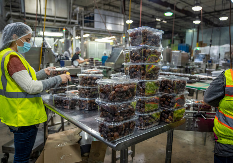 Factory workers- Seeds Factory